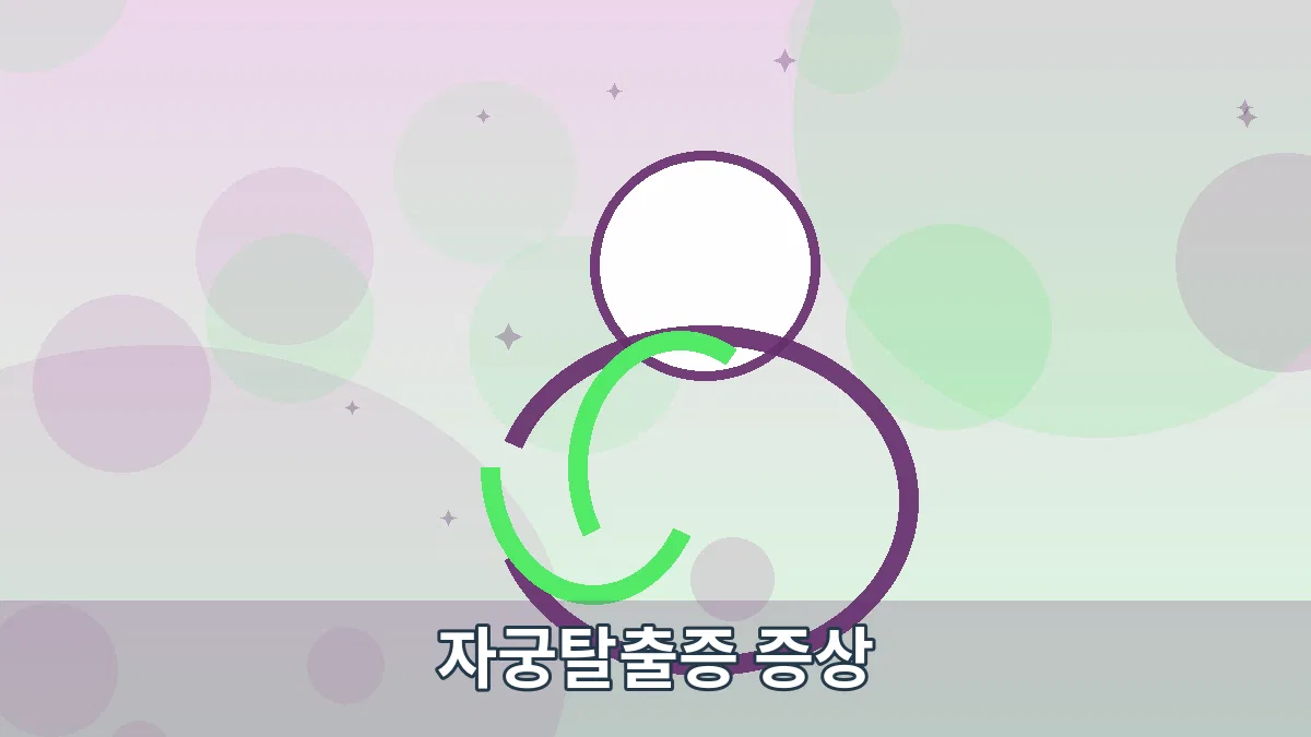 자궁탈출증 증상 안내 이미지 2